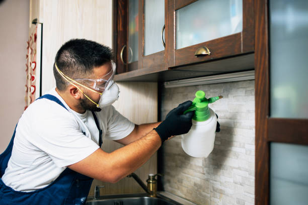 Professional Pest Control in Madelia, MN
