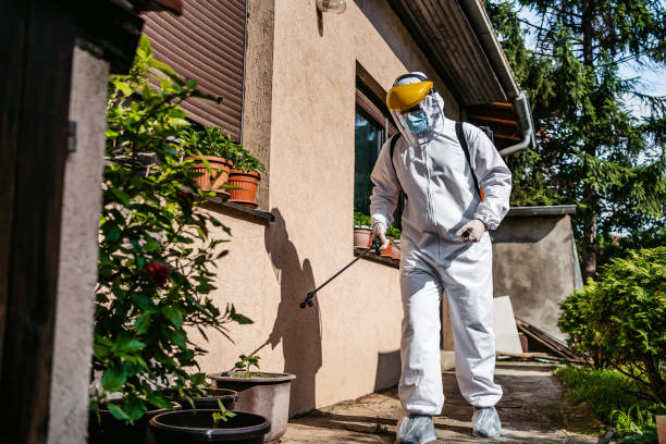 Best Flea Control Services  in Madelia, MN