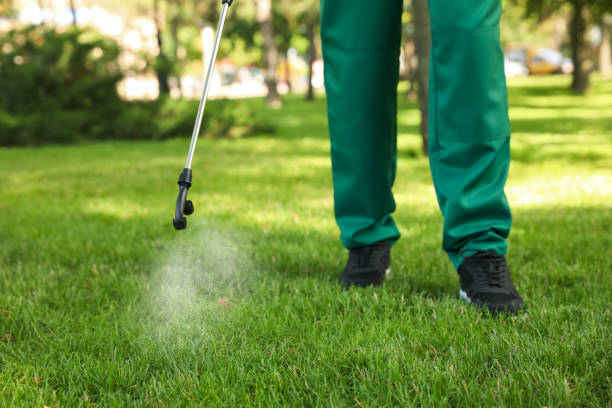 Best Commercial Pest Control Services  in Madelia, MN