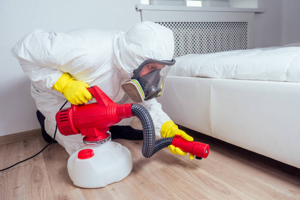 Best Flea Control Services  in Madelia, MN