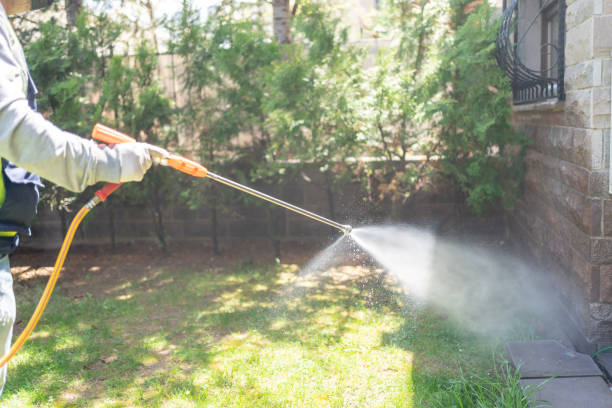 Best Insect Control  in Madelia, MN