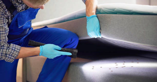 Best Pest Prevention Services  in Madelia, MN