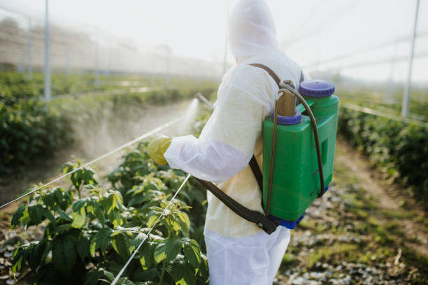 Best Wasp Removal Services  in Madelia, MN